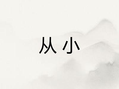 从小