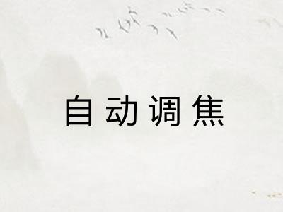自动调焦 自动调焦