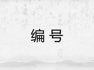 编号