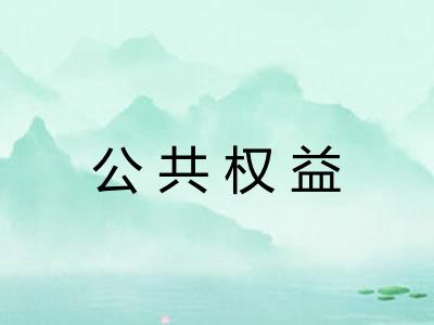 公共权益 公共权益