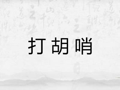打胡哨