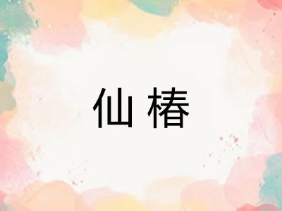仙椿