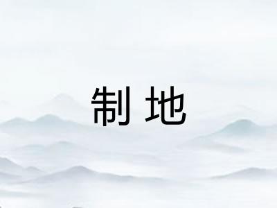 制地