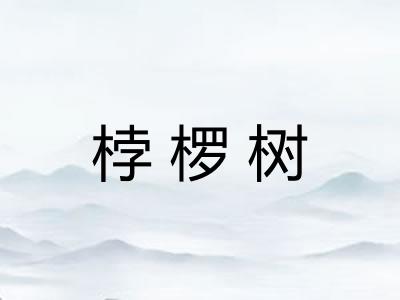 桲椤树