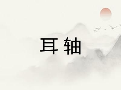 耳轴 耳轴