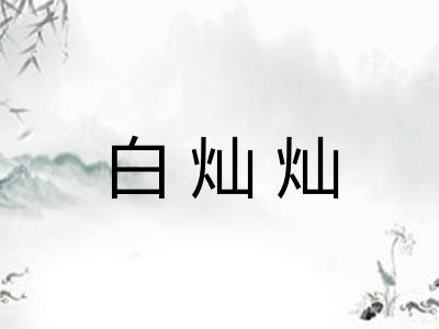 白灿灿