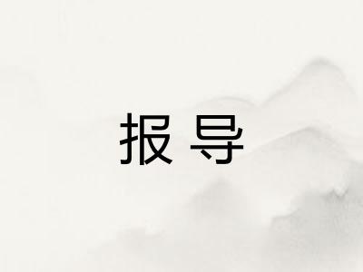 报导 报导