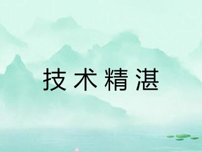 技术精湛 技术精湛