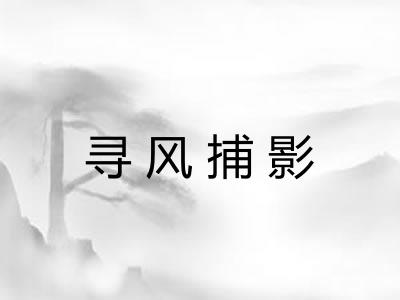 寻风捕影 寻风捕影