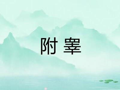 附睾 附睾