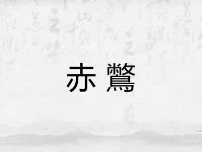 赤鷩