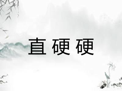 直硬硬