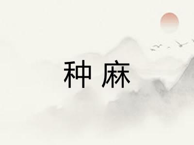 种麻
