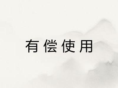 有偿使用