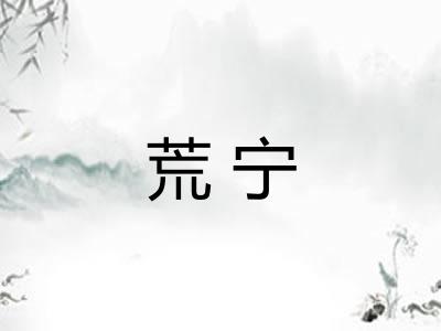 荒宁