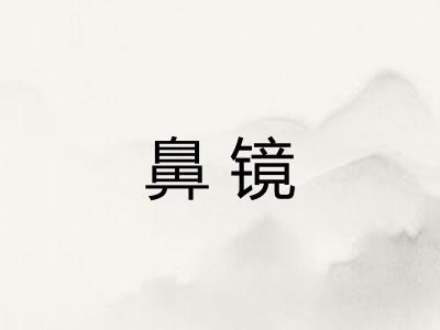 鼻镜
