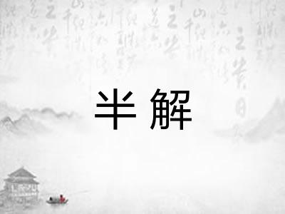 半解