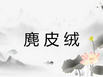 麂皮绒