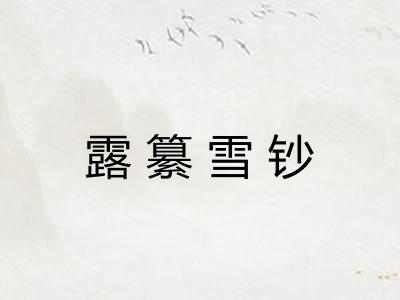 露纂雪钞 露纂雪钞