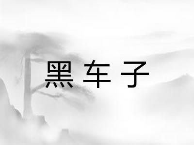 黑车子 黑车子