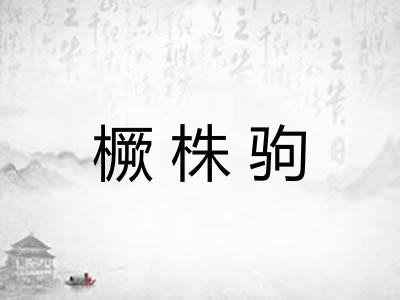 橛株驹