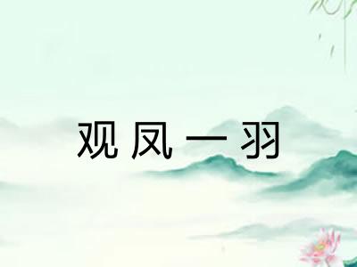 观凤一羽 观凤一羽