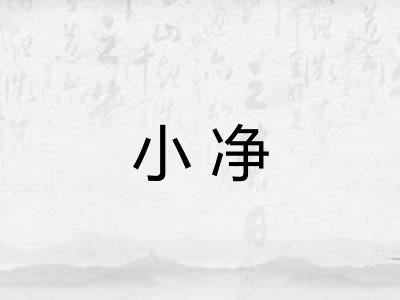 小净