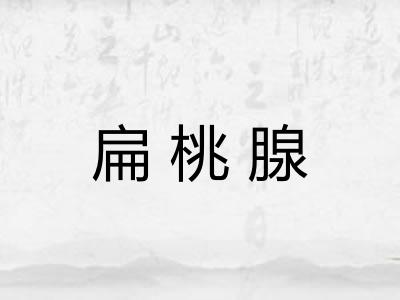 扁桃腺 扁桃腺