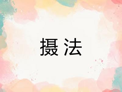 摄法 摄法