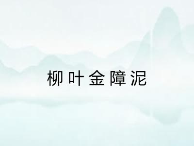 柳叶金障泥 柳叶金障泥