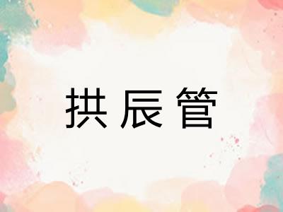 拱辰管