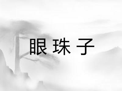 眼珠子