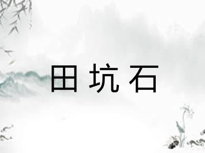 田坑石 田坑石