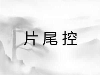 片尾控