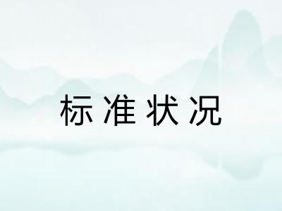 标准状况 标准状况