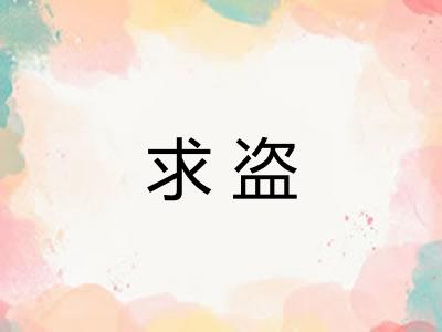 求盗