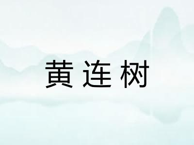 黄连树