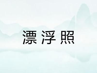 漂浮照 漂浮照