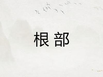根部