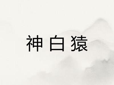 神白猿 神白猿