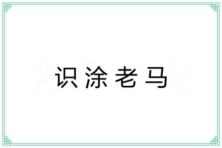识涂老马