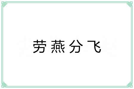 劳燕分飞